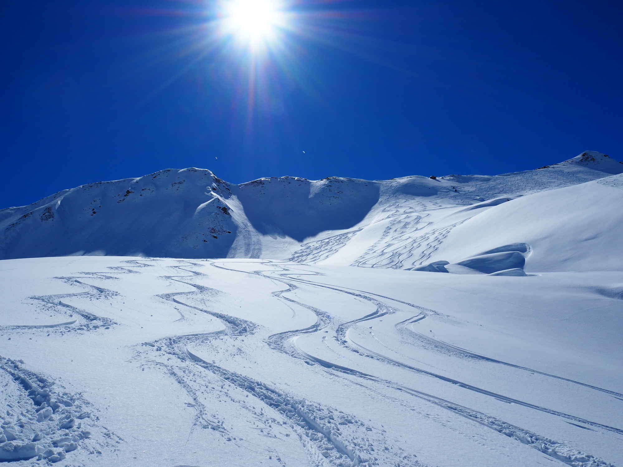 Jägglisch Horn